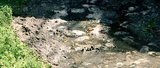 Septic Tank Service: Are your “flushable” wipes ruining your septic tank?