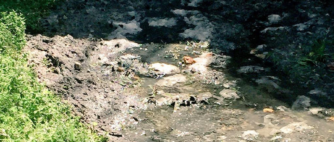 Septic Tank Service:  Are your “flushable” wipes ruining your septic tank?