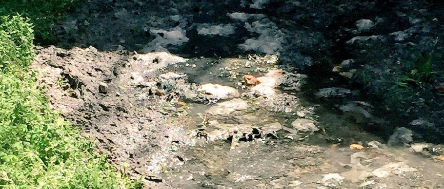 Septic Tank Service:  Are your “flushable” wipes ruining your septic tank?