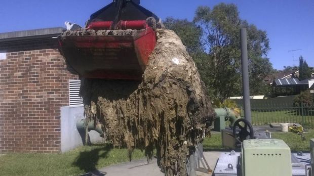 Are Wipes Flushable? What does "flushable" even mean, and should I care?