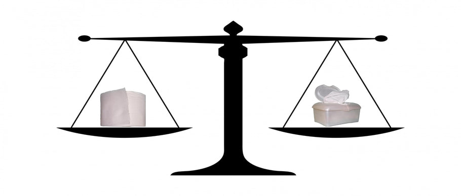 Wet Wipes vs Toilet Paper:  The Battle in the Bathroom, #2 Edition