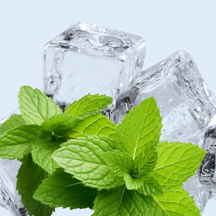 Cooling Peppermint | Toilet Paper Spray